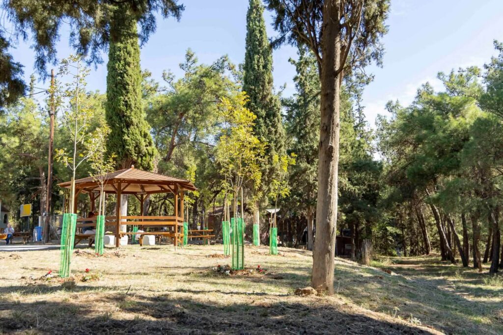 Ολοκληρώθηκε η ανάπλαση του πάρκου Κρυονερίου στην Άνω Τούμπα από τον Δήμο Θεσσαλονίκης