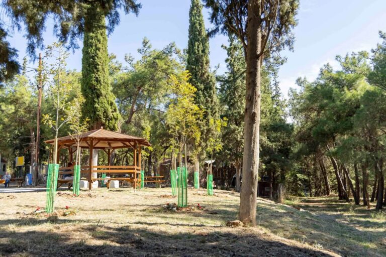 Ολοκληρώθηκε η ανάπλαση του πάρκου Κρυονερίου στην Άνω Τούμπα από τον Δήμο Θεσσαλονίκης